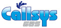 Callsys® Gas Servicing