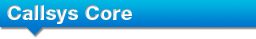 Callsys® Core