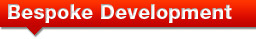 Bespoke Development